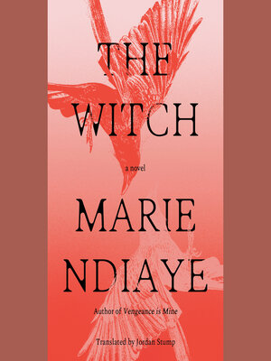 cover image of The Witch